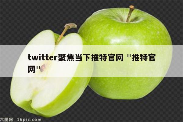 twitter聚焦当下推特官网 "推特官网"
