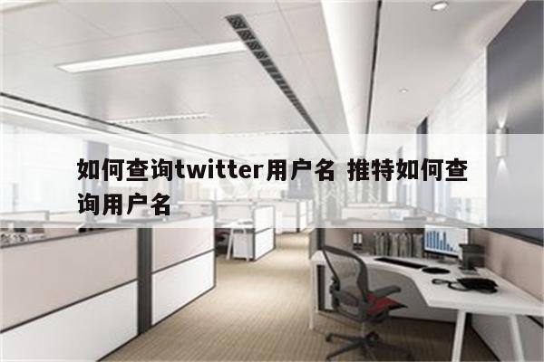 如何查询twitter用户名 推特如何查询用户名