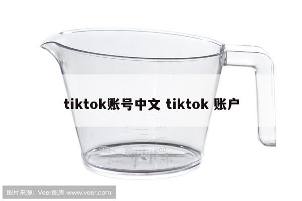 tiktok账号中文 tiktok 账户