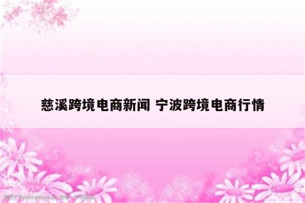 慈溪跨境电商新闻 宁波跨境电商行情