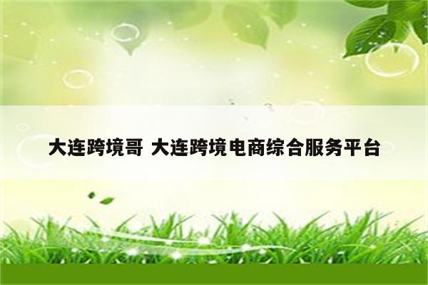 大连跨境哥 大连跨境电商综合服务平台