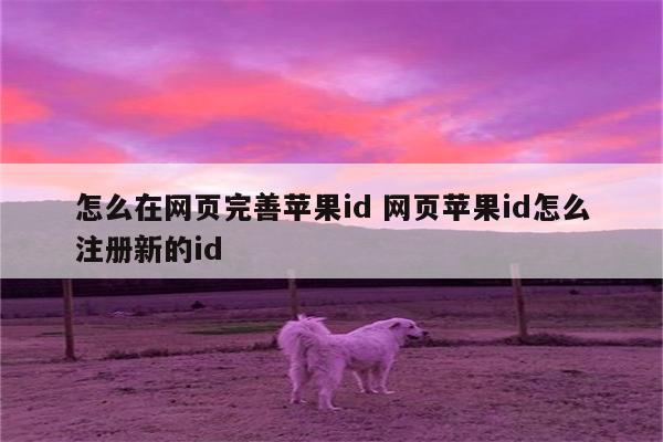 怎么在网页完善苹果id 网页苹果id怎么注册新的id