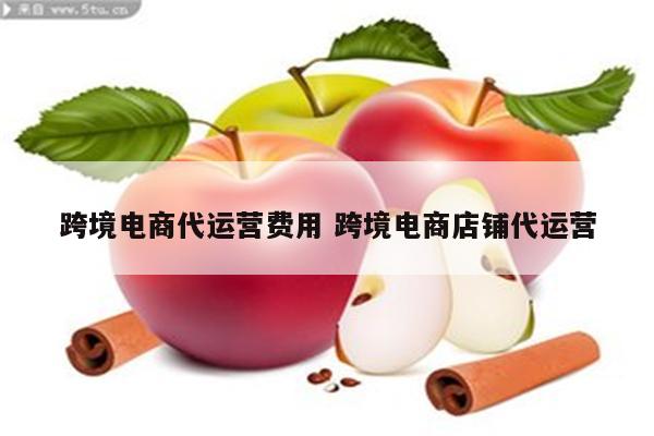 跨境电商代运营费用 跨境电商店铺代运营