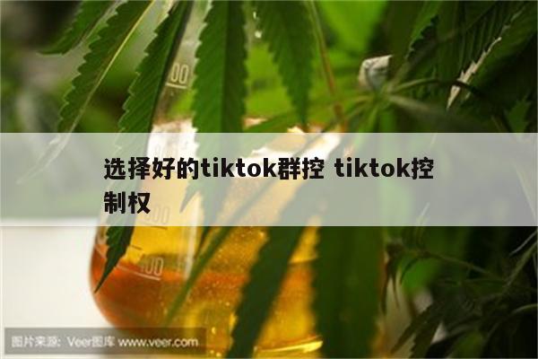 选择好的tiktok群控 tiktok控制权