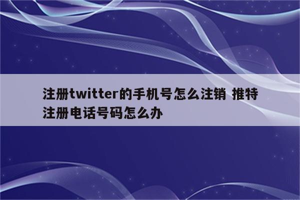注册twitter的手机号怎么注销 推特注册电话号码怎么办