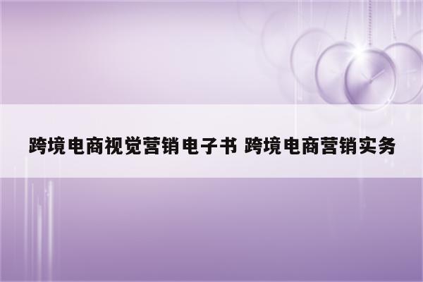 跨境电商视觉营销电子书 跨境电商营销实务