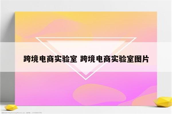 跨境电商实验室 跨境电商实验室图片