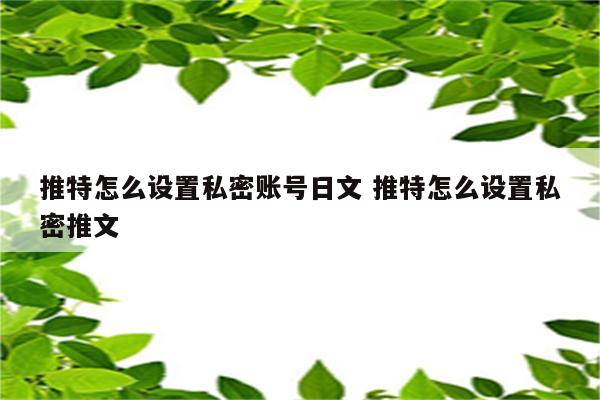 推特怎么设置私密账号日文 推特怎么设置私密推文