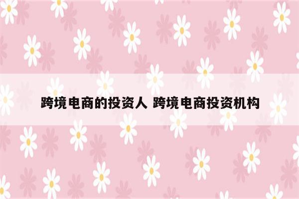 跨境电商的投资人 跨境电商投资机构