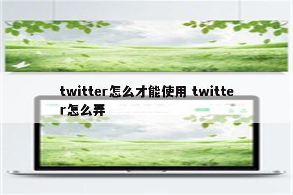 详细阅读:twitter怎么才能使用 twitter怎么弄 twitter怎么才能使用 twitter怎么弄