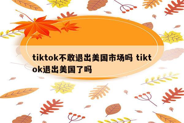 tiktok不敢退出美国市场吗 tiktok退出美国了吗