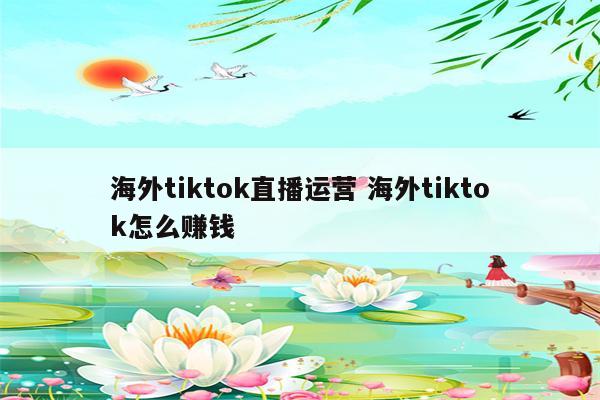 海外tiktok直播运营 海外tiktok怎么赚钱