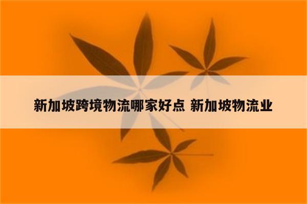 新加坡跨境物流哪家好点 新加坡物流业