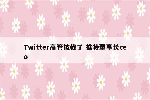Twitter高管被裁了 推特董事长ceo