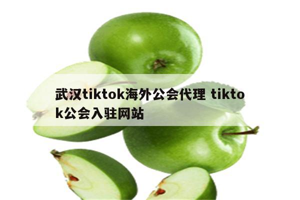 武汉tiktok海外公会代理 tiktok公会入驻网站