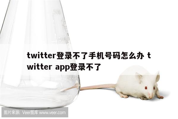 twitter登录不了手机号码怎么办 twitter app登录不了