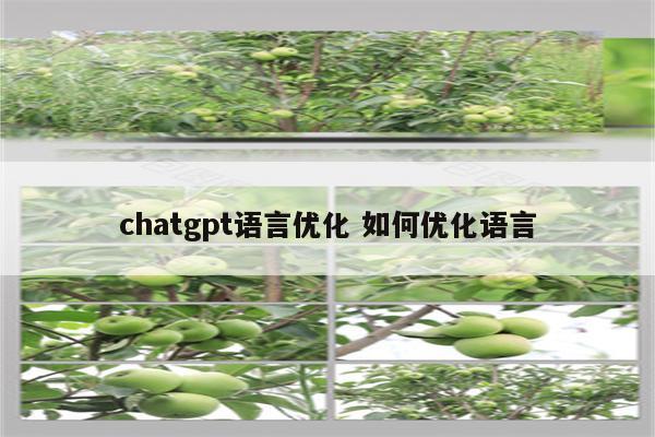 chatgpt语言优化 如何优化语言