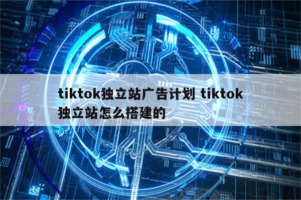 tiktok独立站广告计划 tiktok独立站怎么搭建的