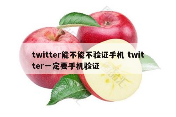 twitter能不能不验证手机 twitter一定要手机验证