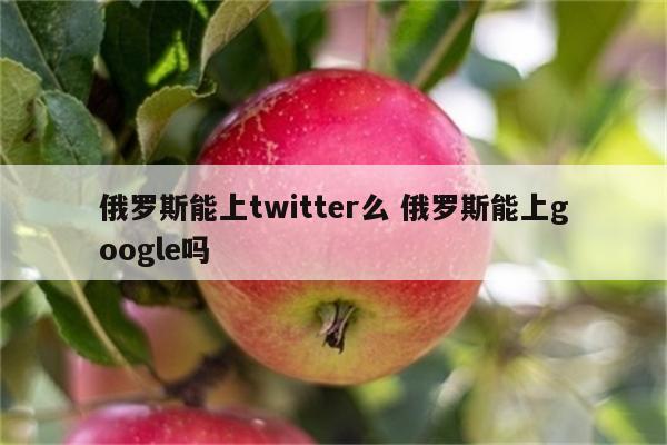 俄罗斯能上twitter么 俄罗斯能上google吗