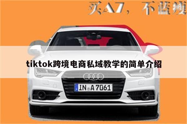 tiktok跨境电商私域教学的简单介绍