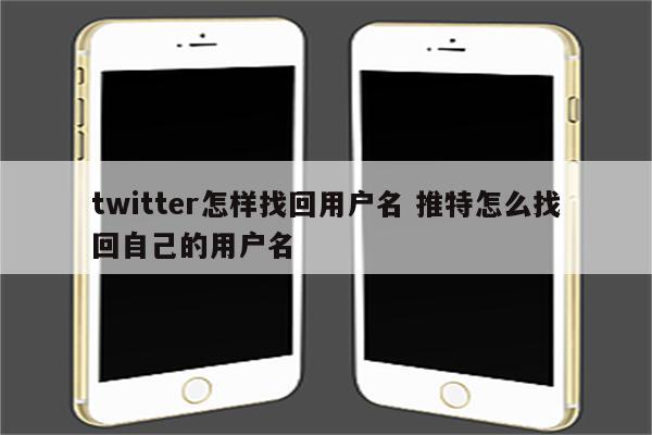 twitter怎样找回用户名 推特怎么找回自己的用户名