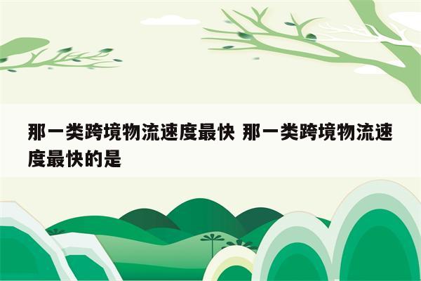 那一类跨境物流速度最快 那一类跨境物流速度最快的是