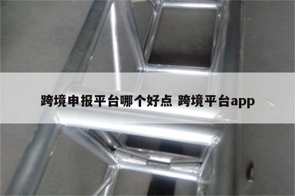 跨境申报平台哪个好点 跨境平台app