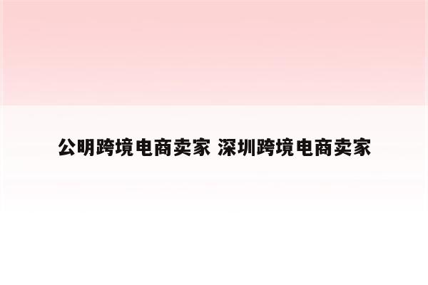 公明跨境电商卖家 深圳跨境电商卖家