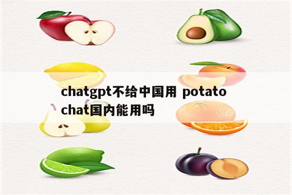 chatgpt不给中国用 potato chat国内能用吗