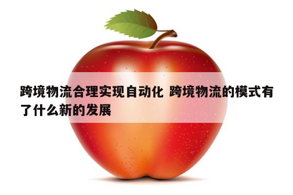 跨境物流合理实现自动化 跨境物流的模式有了什么新的发展