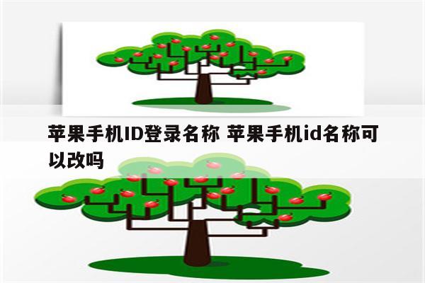 苹果手机ID登录名称 苹果手机id名称可以改吗