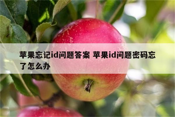 苹果忘记id问题答案 苹果id问题密码忘了怎么办