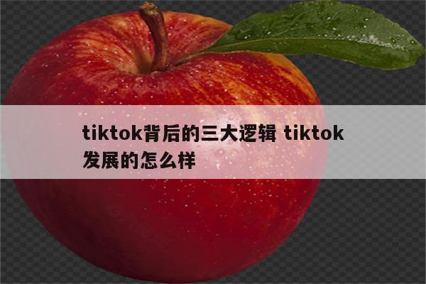 tiktok背后的三大逻辑 tiktok发展的怎么样