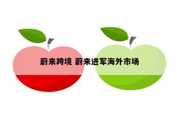 蔚来跨境 蔚来进军海外市场