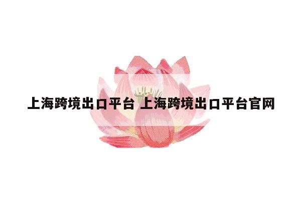 上海跨境出口平台 上海跨境出口平台官网
