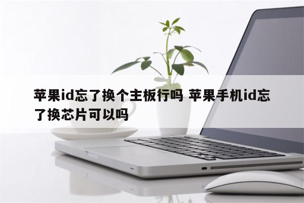 苹果id忘了换个主板行吗 苹果手机id忘了换芯片可以吗