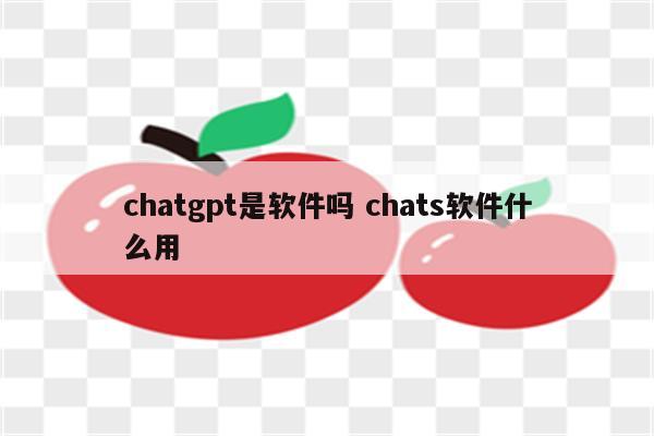 chatgpt是软件吗 chats软件什么用