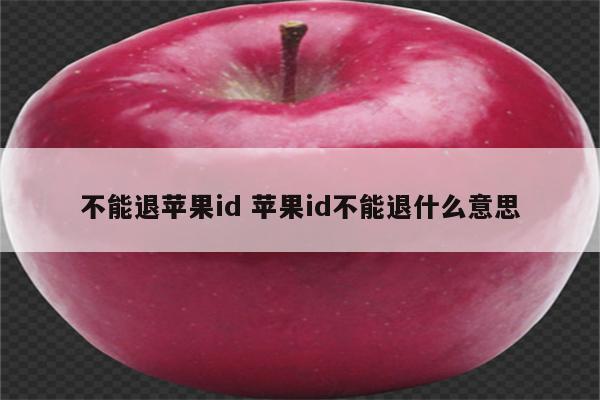 不能退苹果id 苹果id不能退什么意思