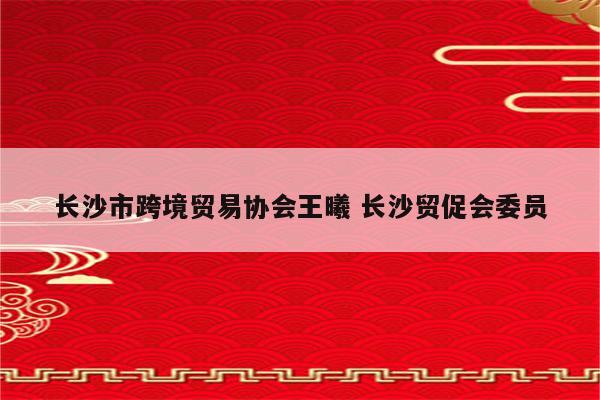 长沙市跨境贸易协会王曦 长沙贸促会委员