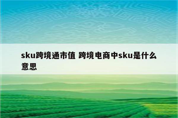 sku跨境通市值 跨境电商中sku是什么意思