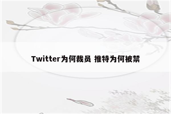 Twitter为何裁员 推特为何被禁