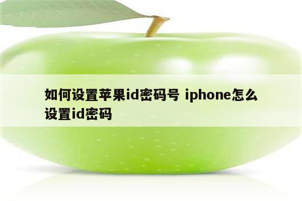 如何设置苹果id密码号 iphone怎么设置id密码