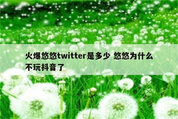 火爆悠悠twitter是多少 悠悠为什么不玩抖音了
