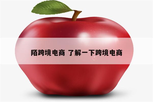 陌跨境电商 了解一下跨境电商