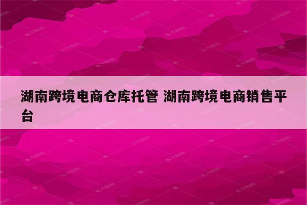湖南跨境电商仓库托管 湖南跨境电商销售平台