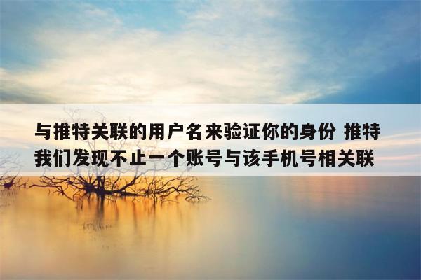 与推特关联的用户名来验证你的身份 推特 我们发现不止一个账号与该手机号相关联