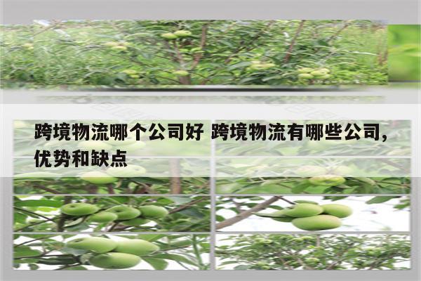 跨境物流哪个公司好 跨境物流有哪些公司,优势和缺点