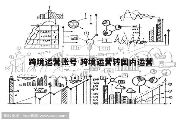 跨境运营账号 跨境运营转国内运营