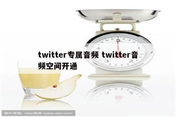 twitter专属音频 twitter音频空间开通